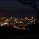 Auckland vom Mt. Eden