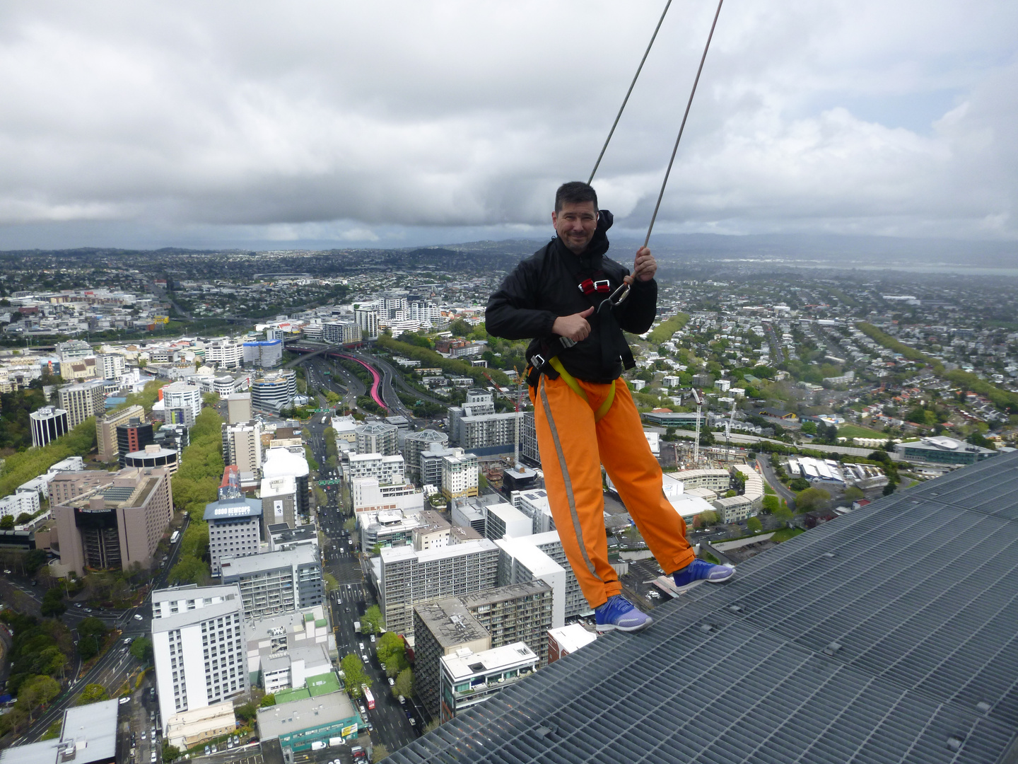 Auckland von oben