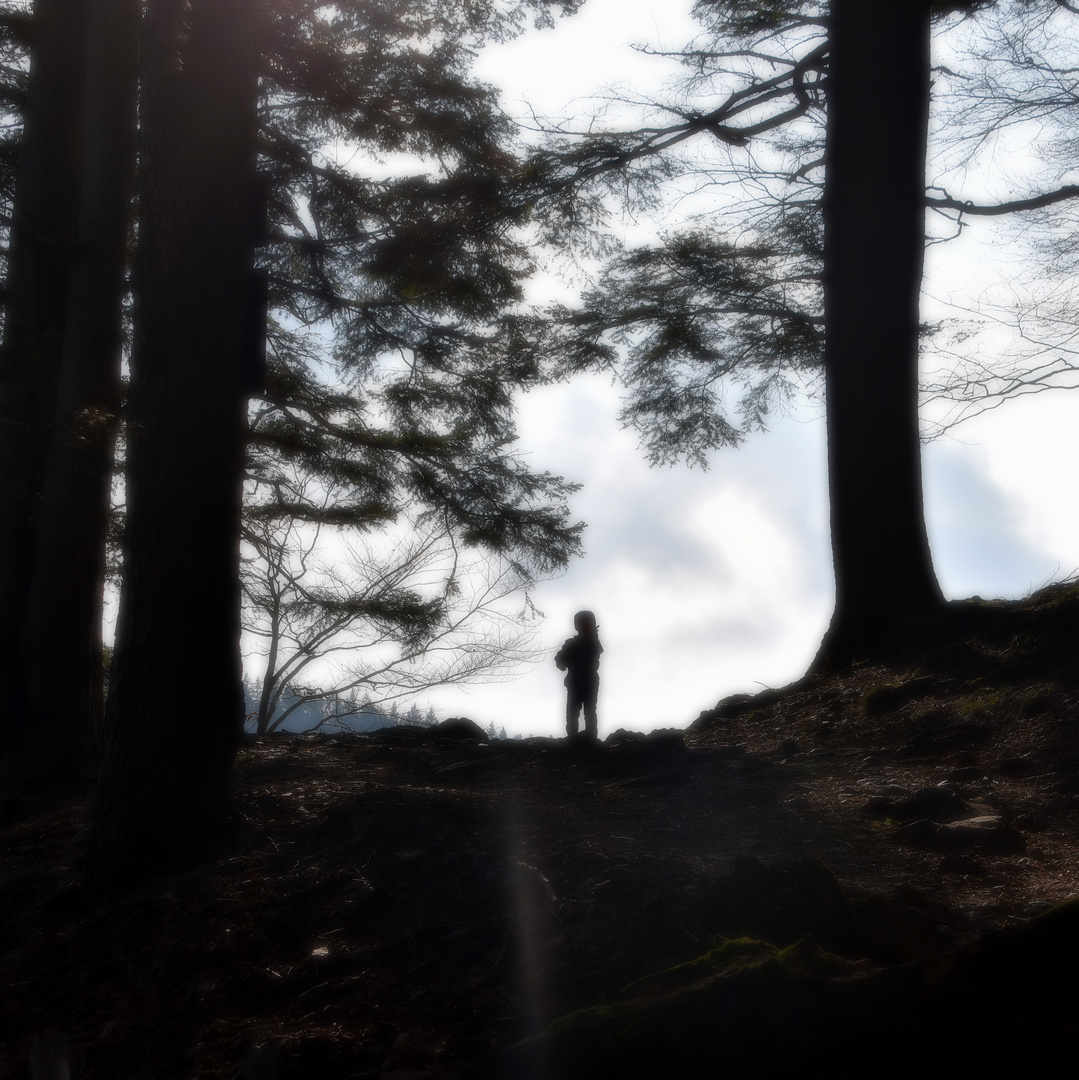 aud dem dunklen Wald heraus