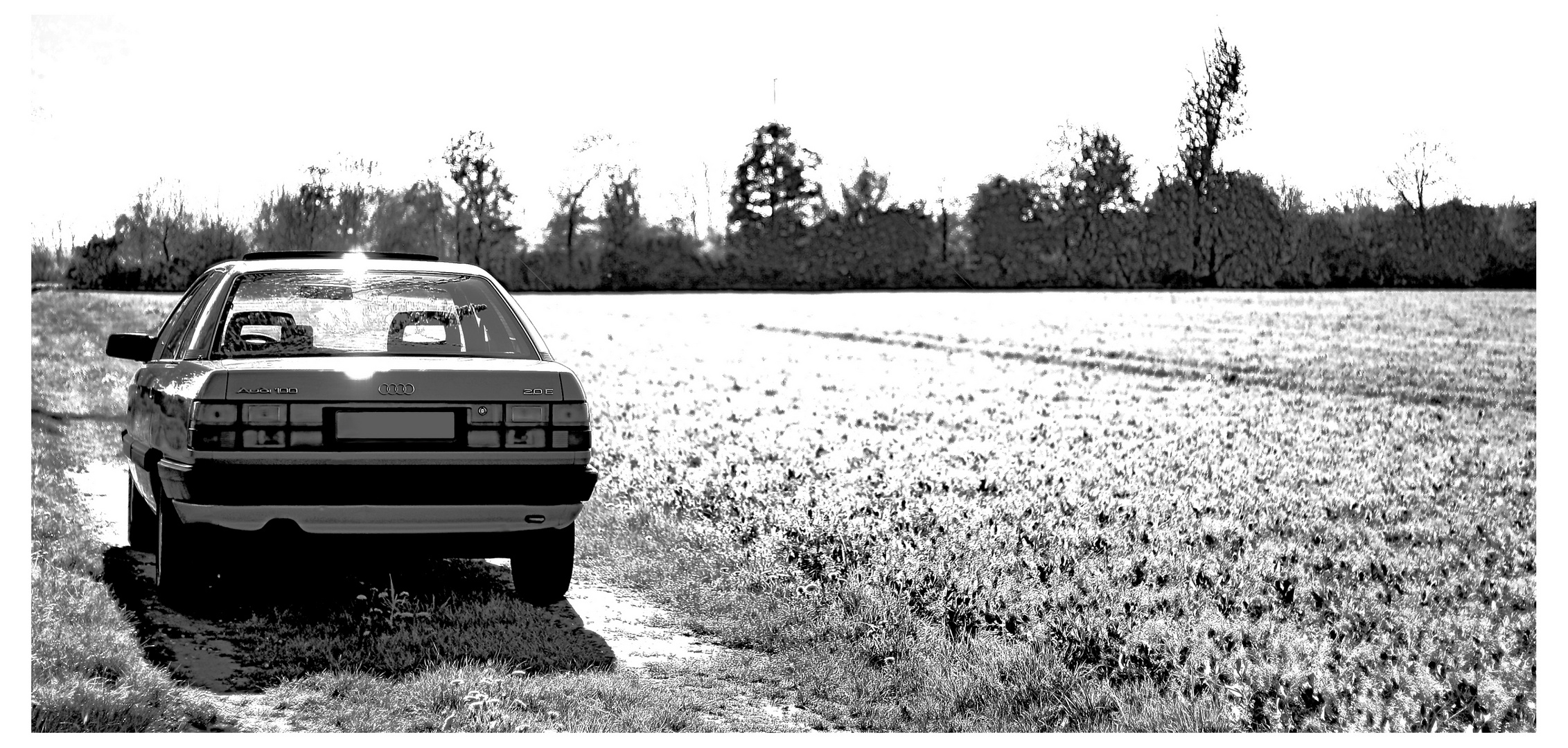 Audi 100 (Black/White)