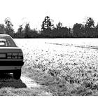 Audi 100 (Black/White)