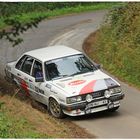 Audi 80 Quattro (1983)