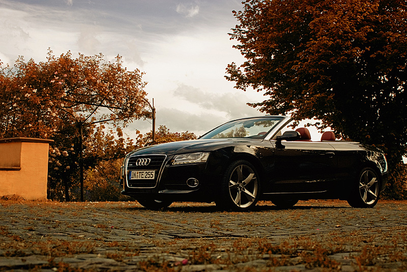 Audi A5 - Indian Summer Edition