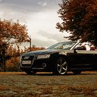 Audi A5 - Indian Summer Edition