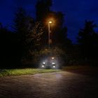 Audi by Night - DRI