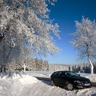 Audi im Schnee (Thüringer Wald)