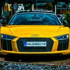 Audi Quattro R8 Front