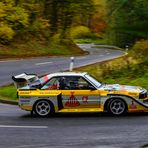 Audi Quattro S1