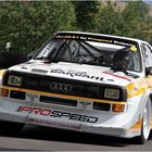 " Audi Quattro S1 "