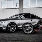 Audi S5 & Low Pipe Cruiser