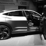 audi seite sw