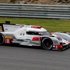 Audi Sport Team Joest