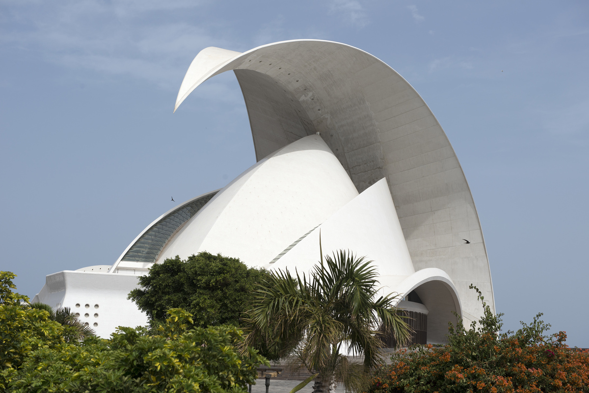 ~ Auditorio de Tenerife ~