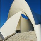 Auditorio in Santa Cruz de Tenerife 5