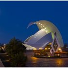 Auditorium Santa Cruz Teneriffa - Calatrava