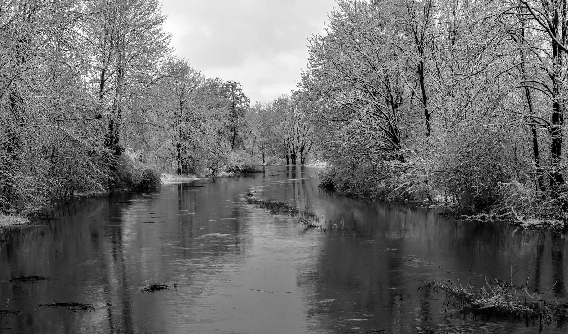 Aue Hochwasser