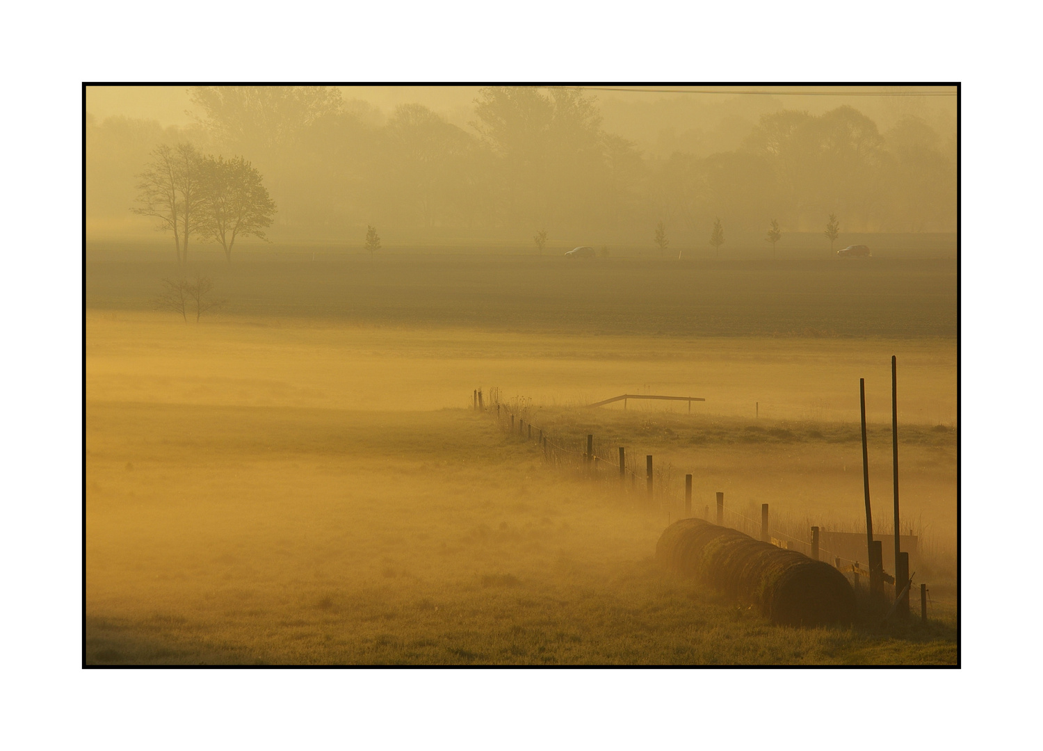 Aue im Nebel