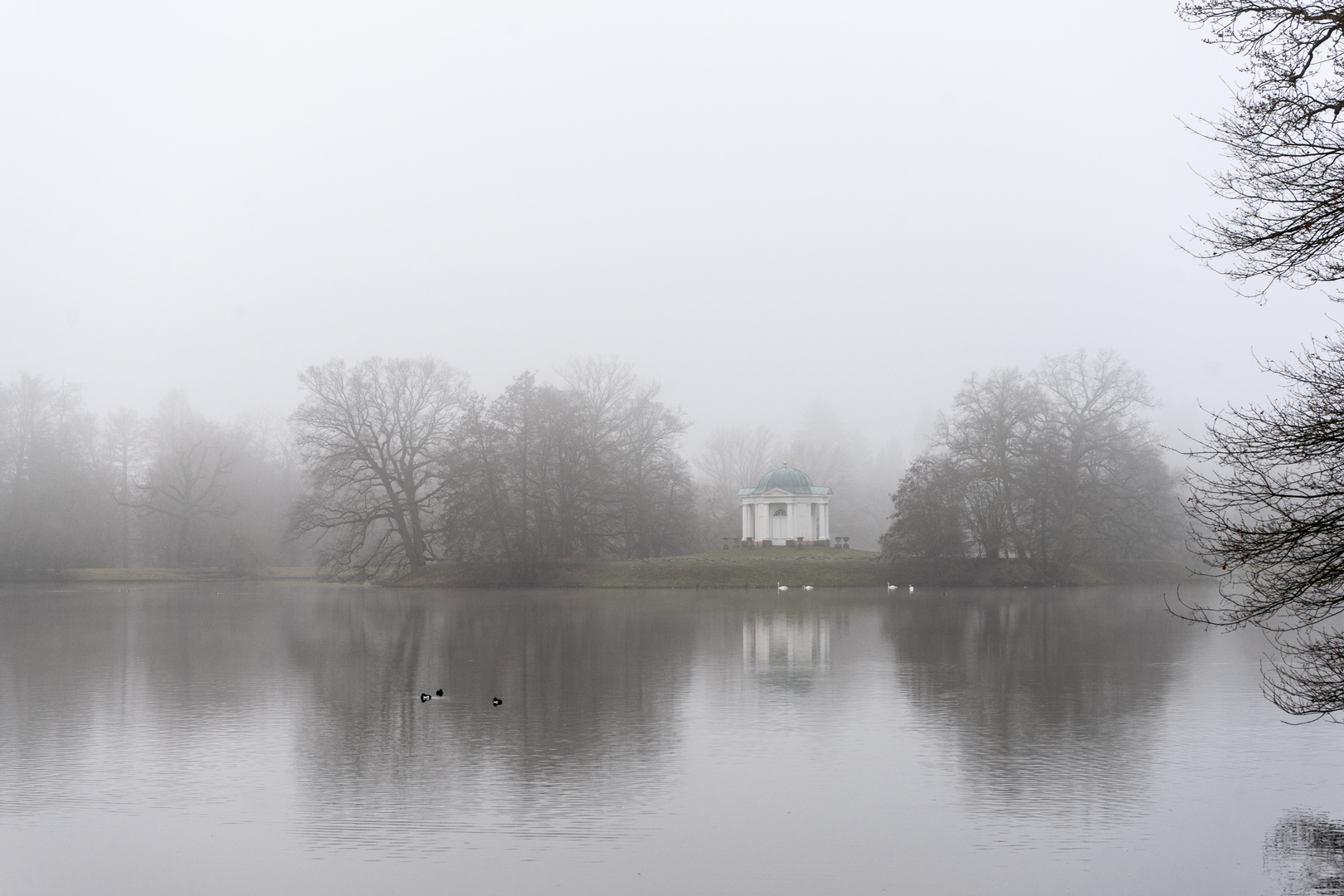 Aue Kassel im Nebel