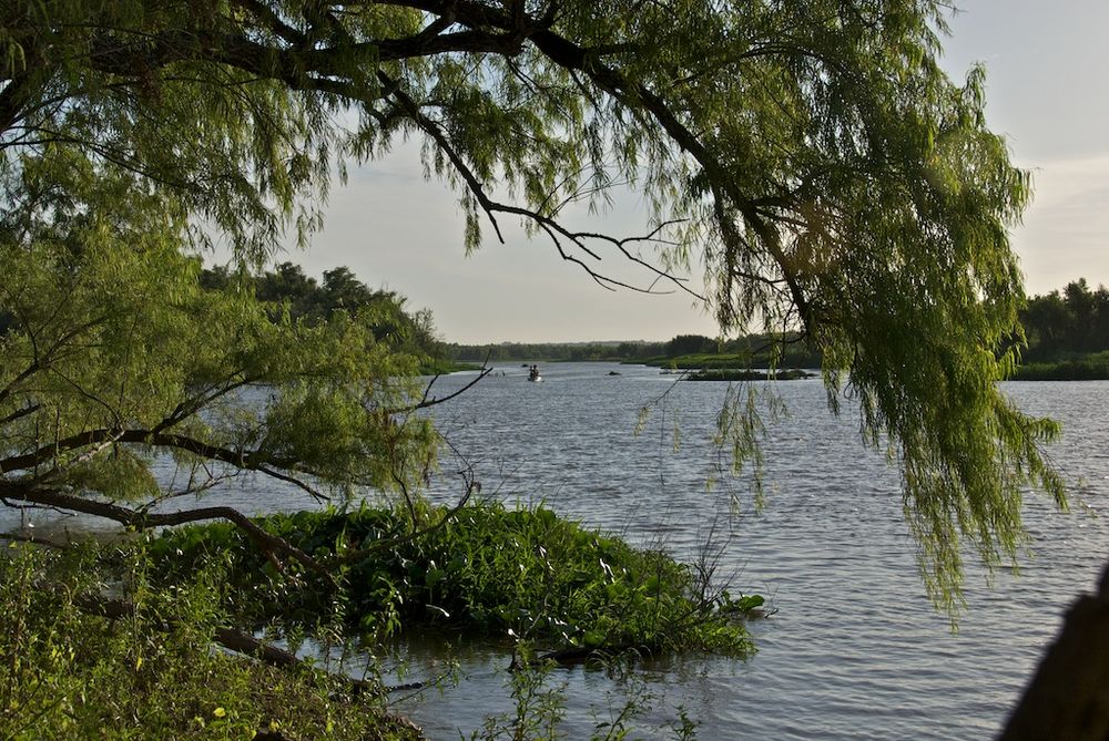 Auen der Paraná-Bañados del Paraná 2