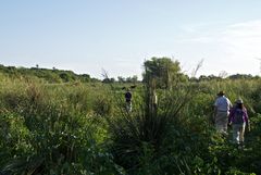 Auen der Paraná-Bañados del Paraná 3