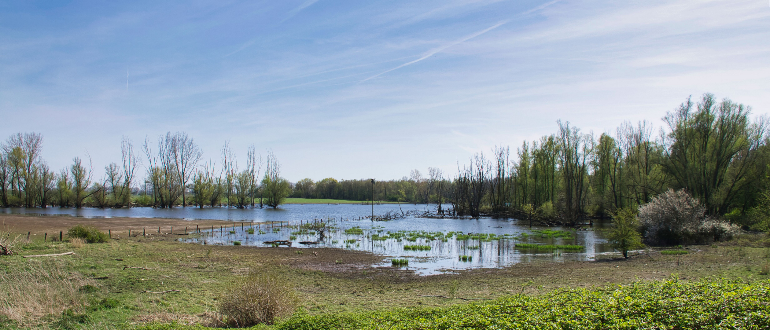 Auen Landschaft