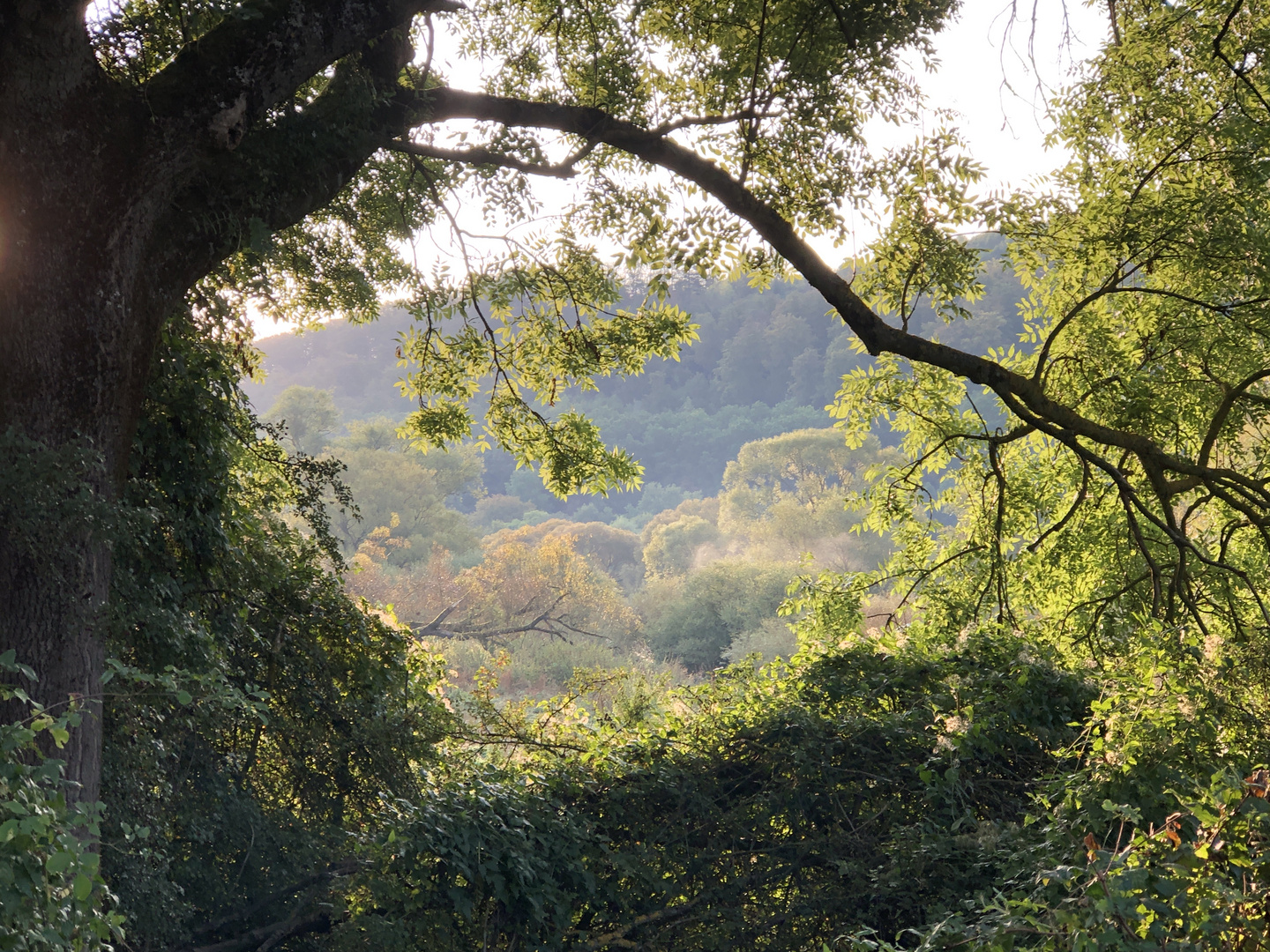 Auenland an der Lahn