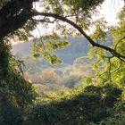 Auenland an der Lahn