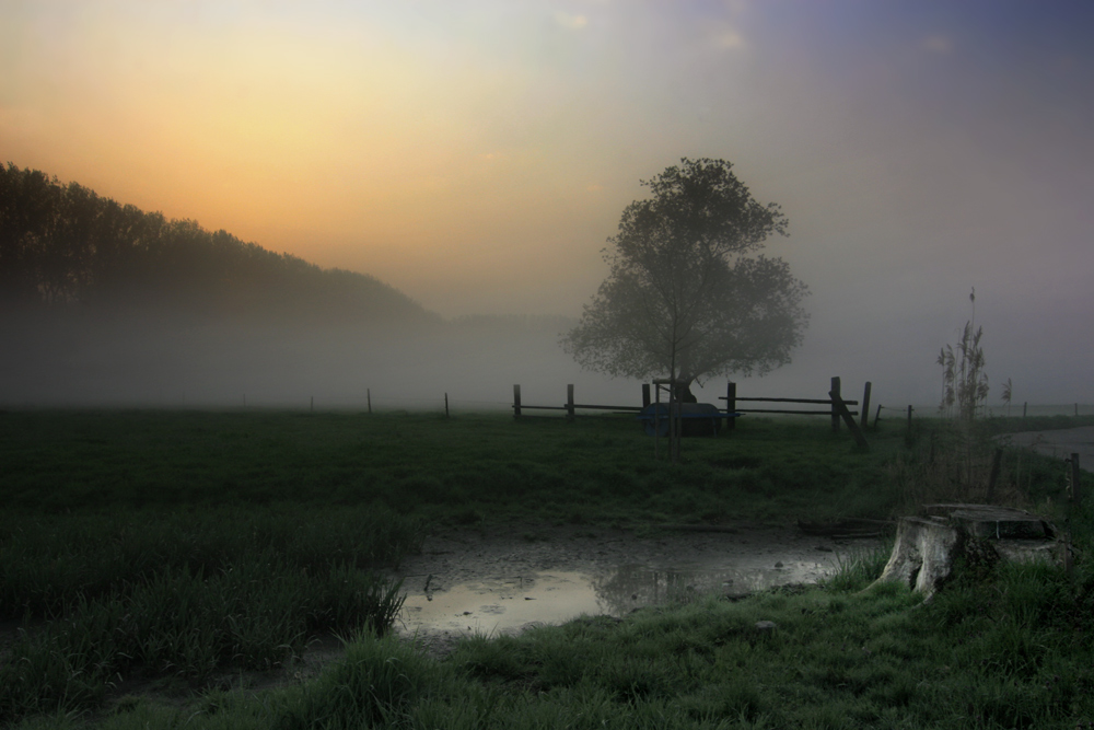 auenland by Susanne I. 