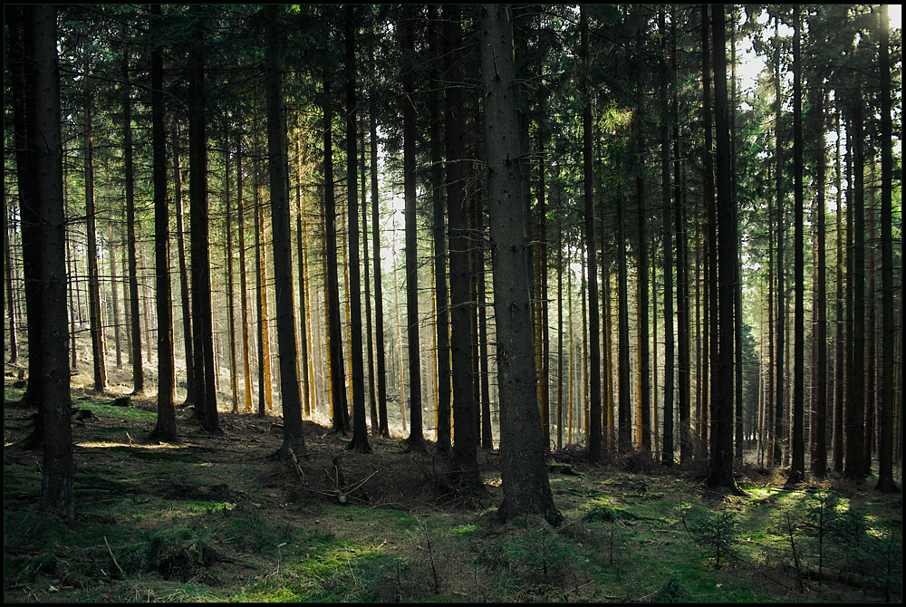 Auenland-Beutlin