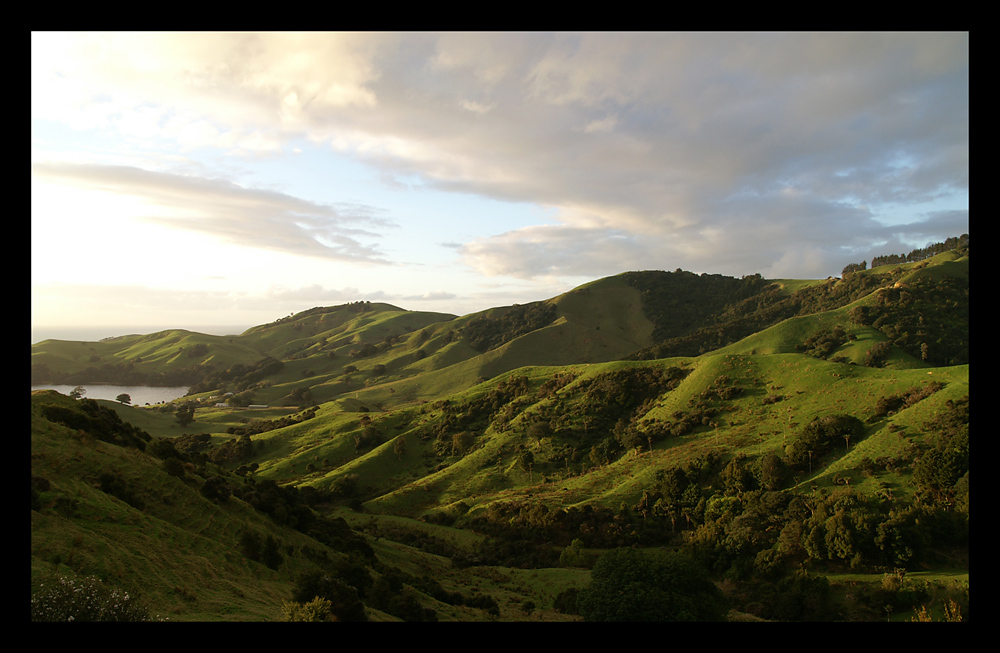 Auenland? Coromandel Hills I