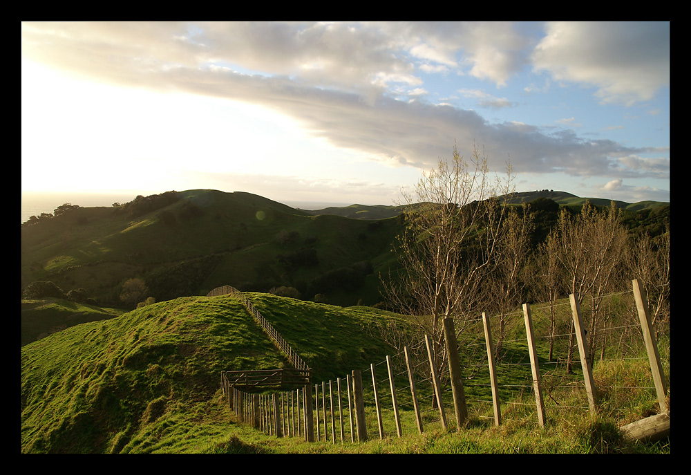 Auenland? Coromandel Hills II