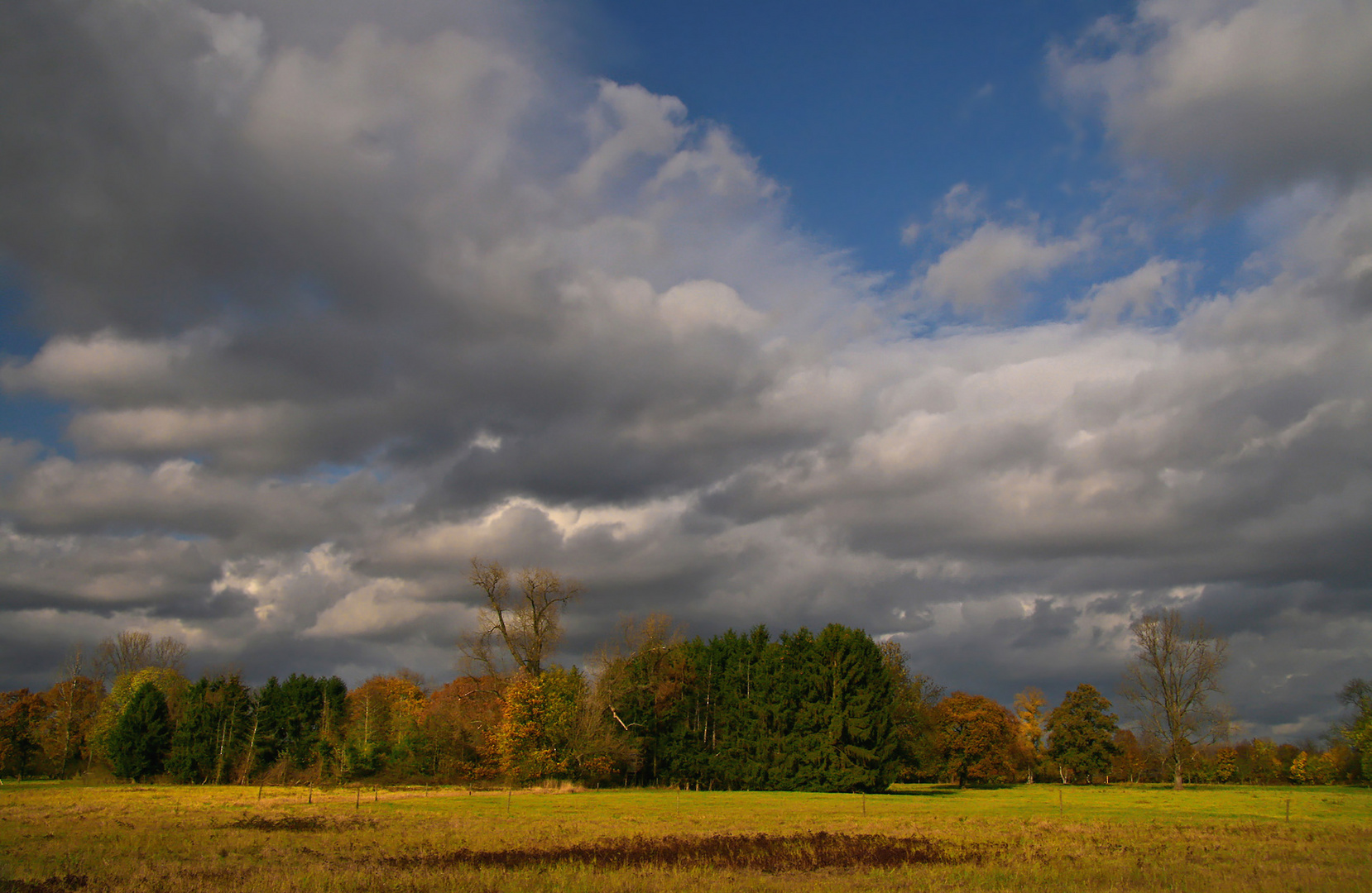 Auenlandschaft