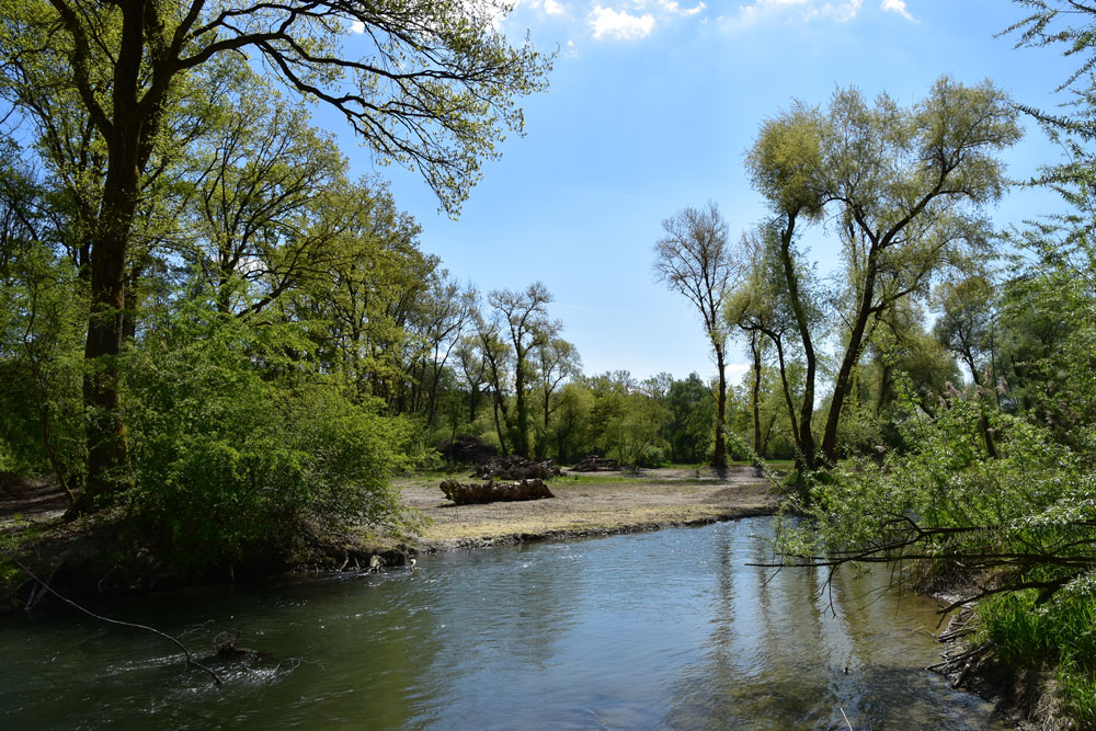 Auenlandschaft