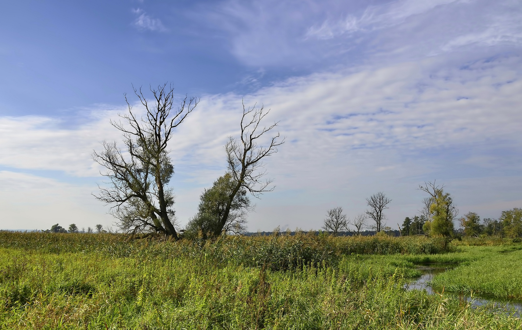 °Auenlandschaft°