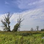 °Auenlandschaft°