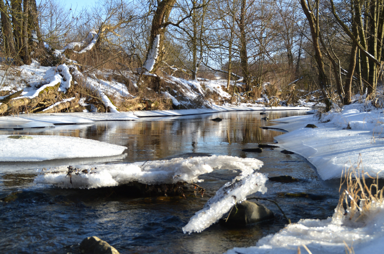 Auenlandschaft