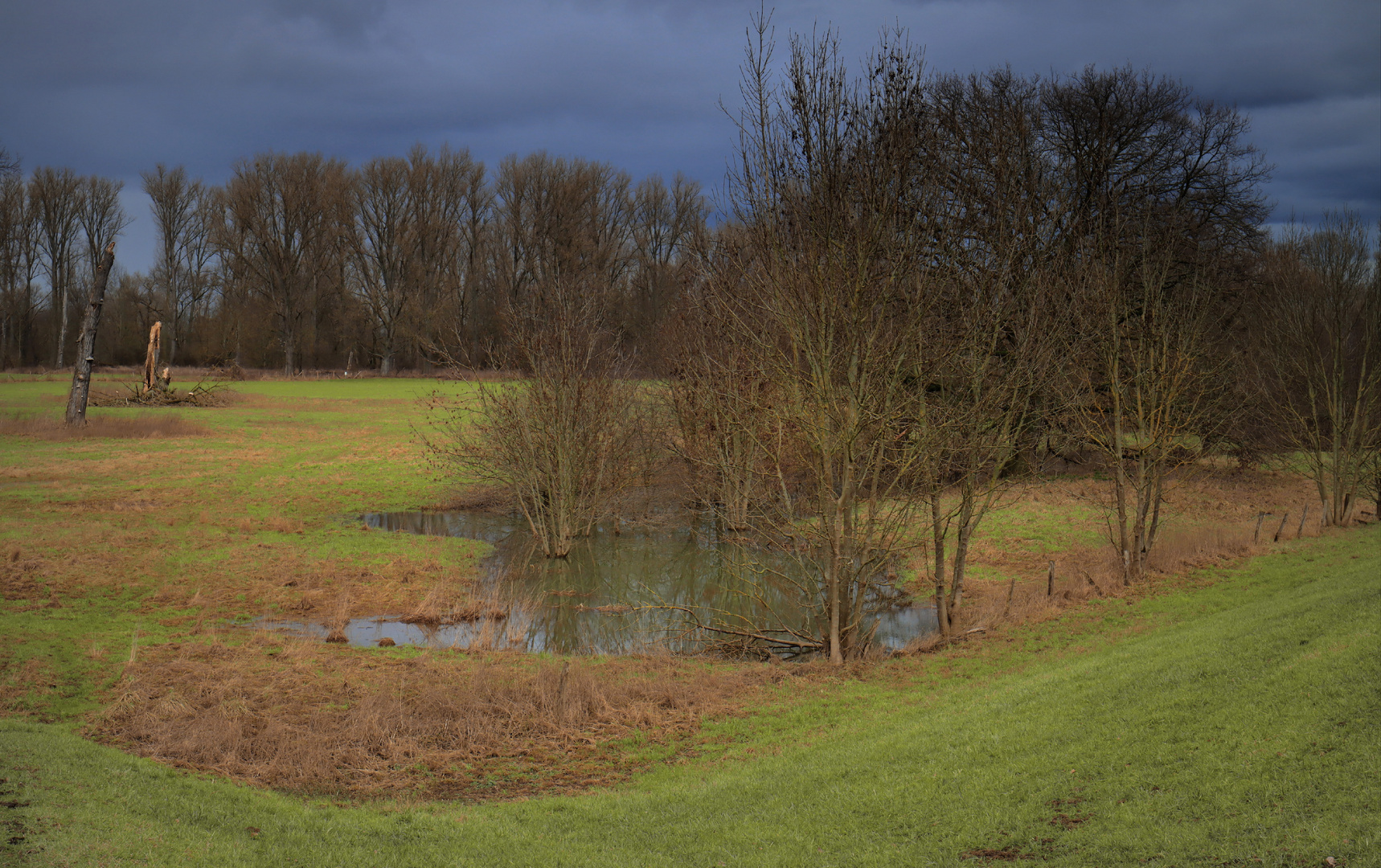 Auenlandschaft