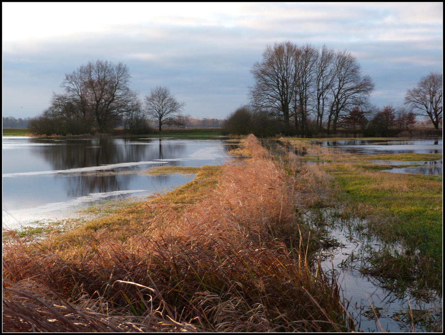 Auenlandschaft