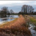 Auenlandschaft