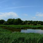 Auenlandschaft am Elberadweg