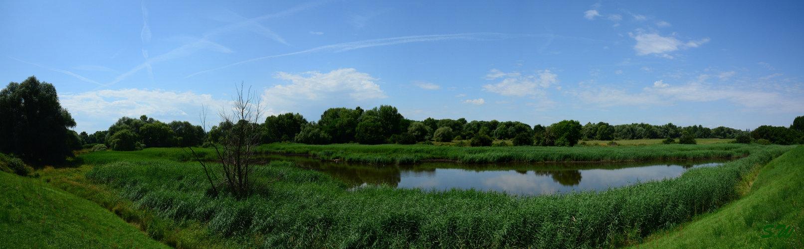 Auenlandschaft am Elberadweg