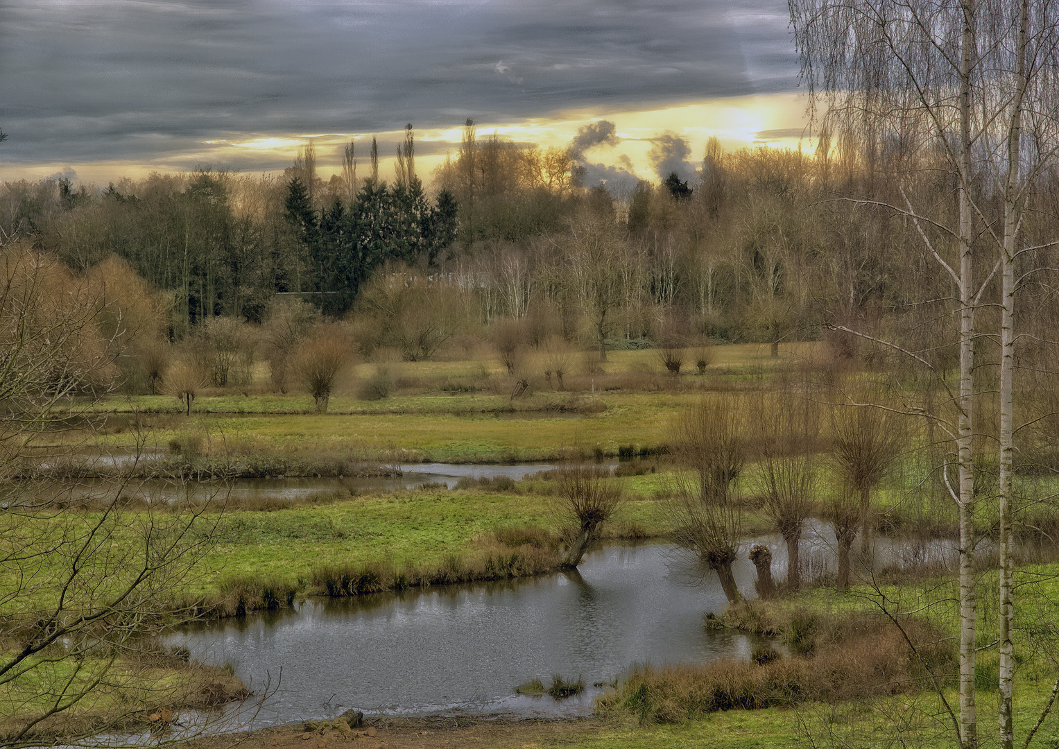 Auenlandschaft am Niederrhein