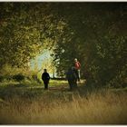 Auenlandschaft am Rhein