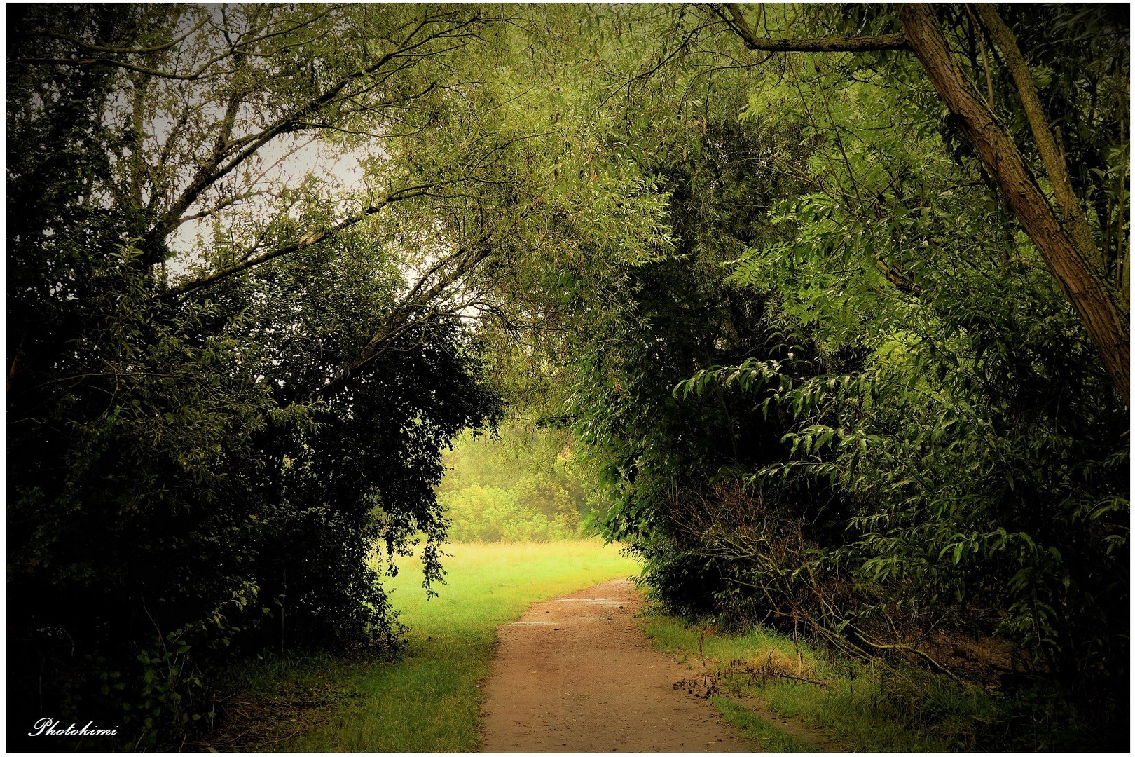 Auenlandschaft am Rhein (I)