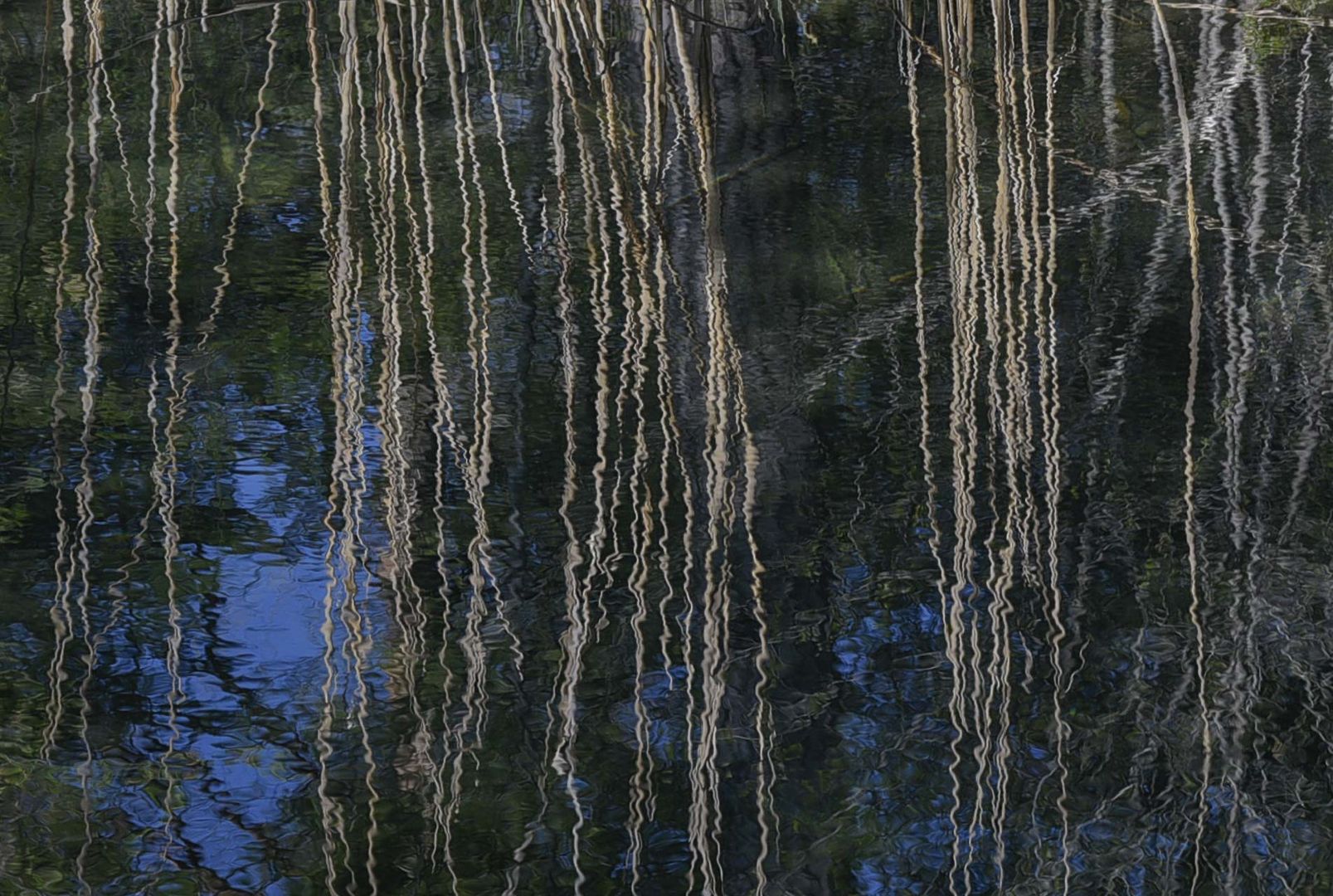 Auenlandschaft an der Aare bei Belp (Bern, Schweiz)