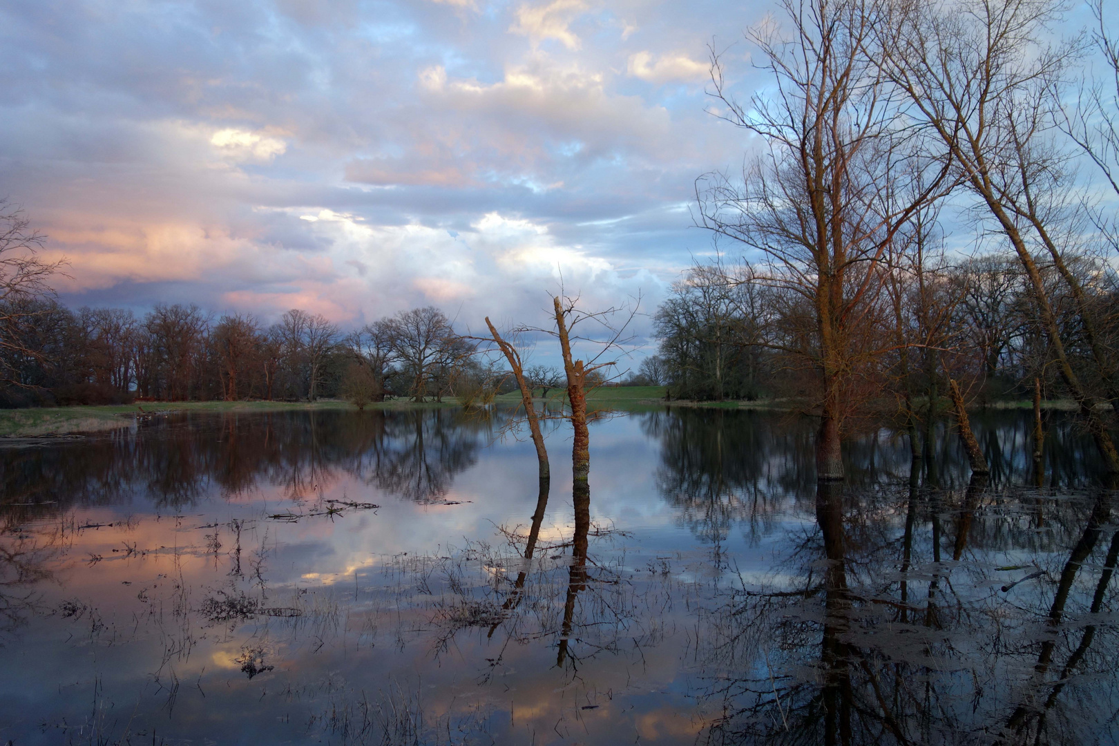 Auenlandschaft an der Elbe