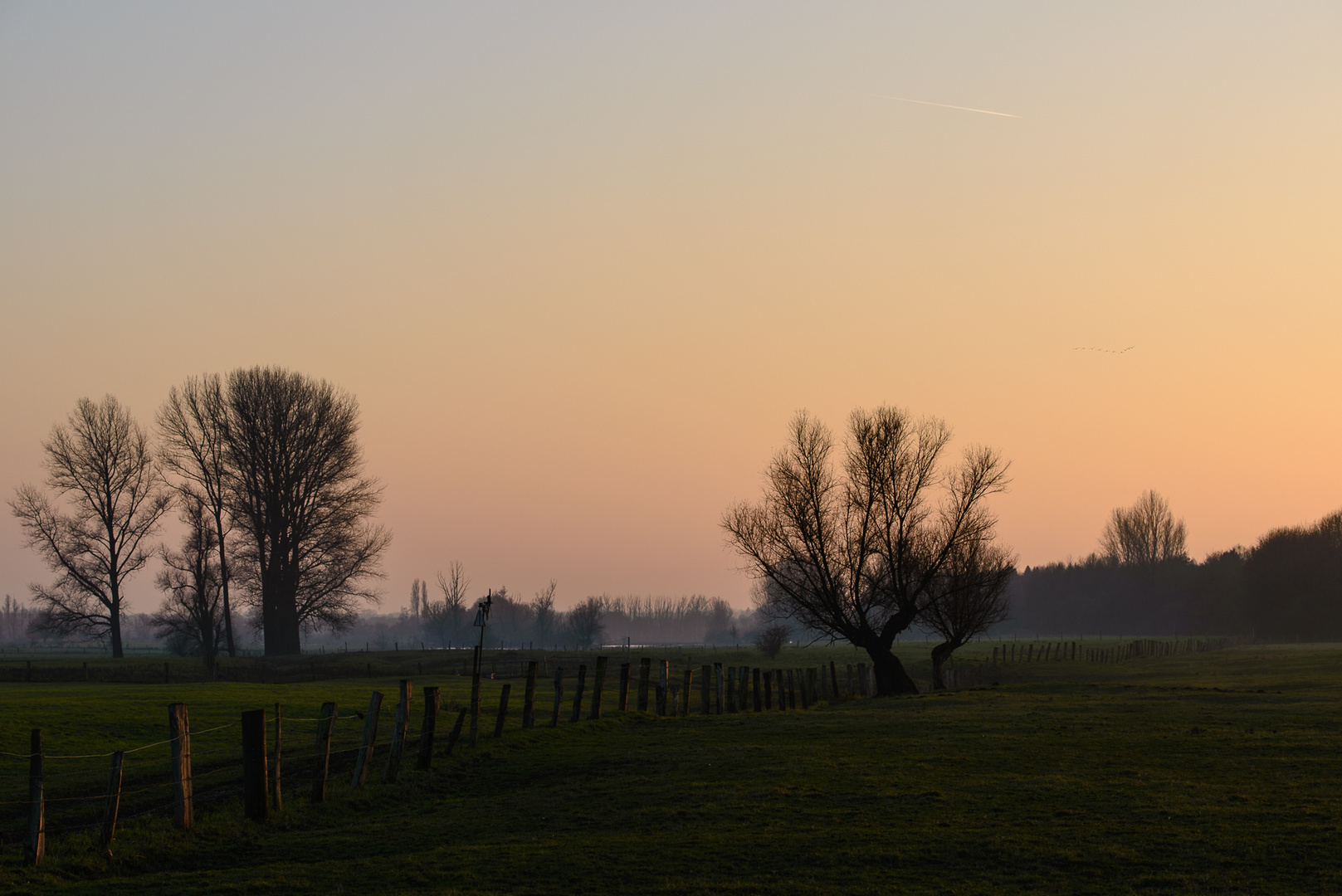 Auenlandschaft