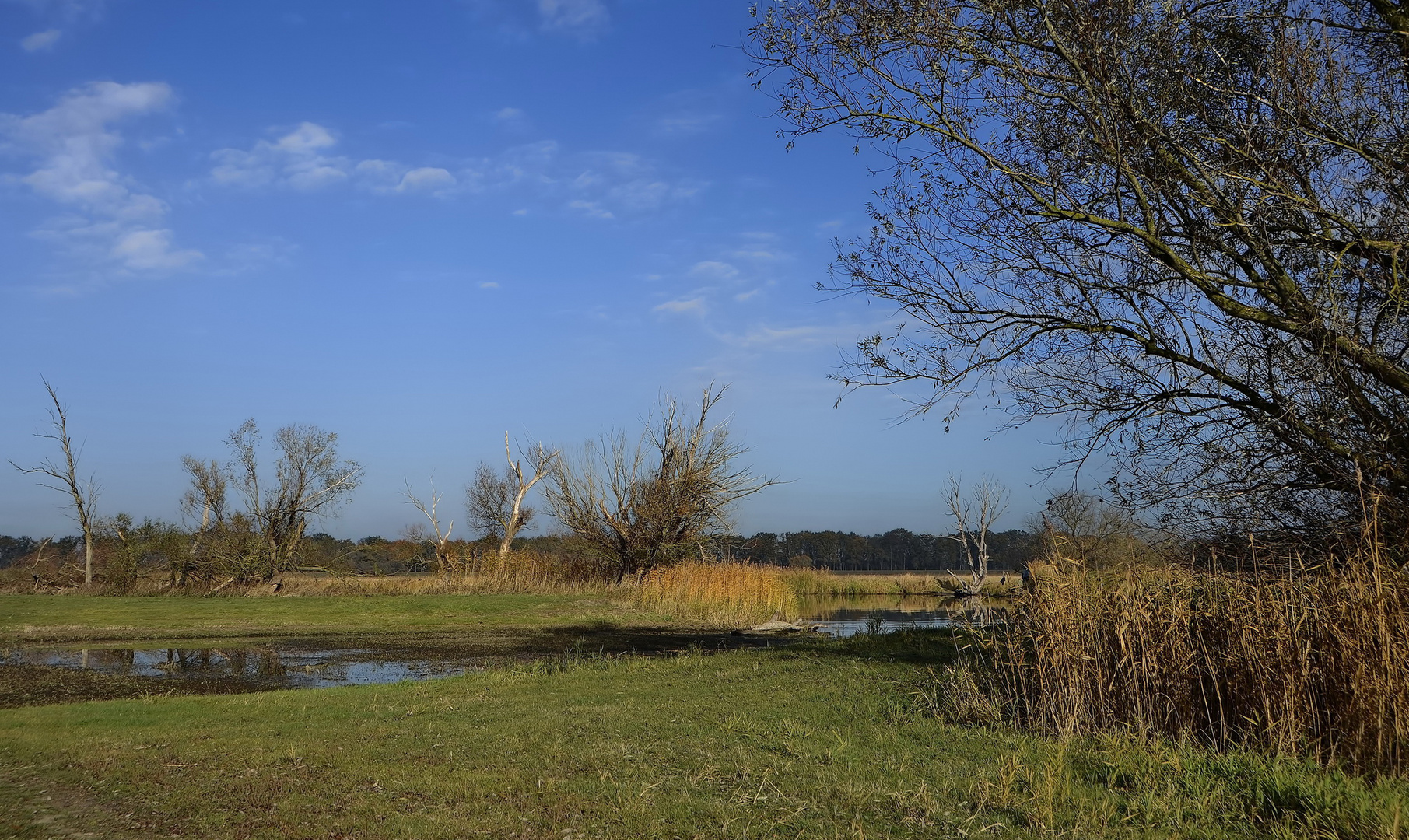 °Auenlandschaft°