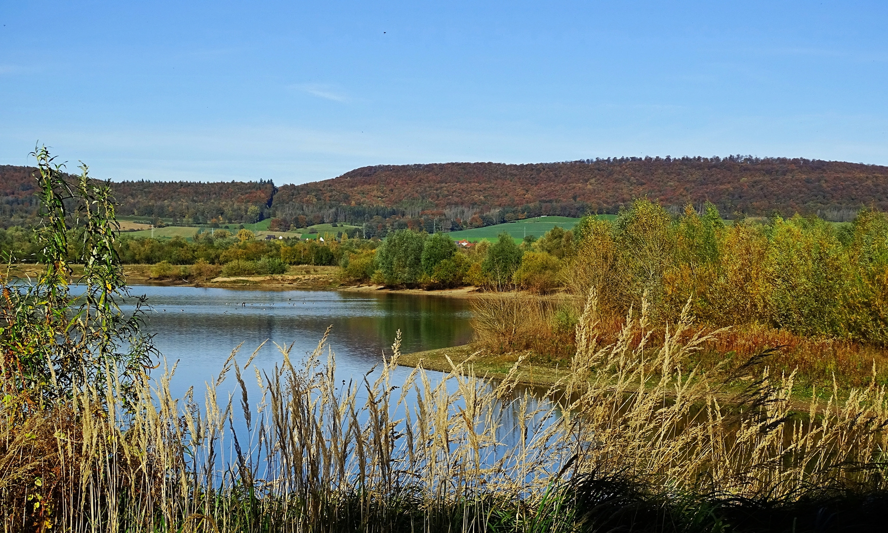 Auenlandschaft