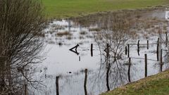 Auenlandschaft der Lippe im NSG Am Tibaum zwischen Werne und Stockum/Hamm